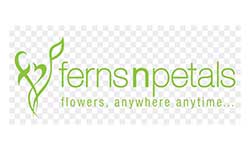 Ferns & Petals